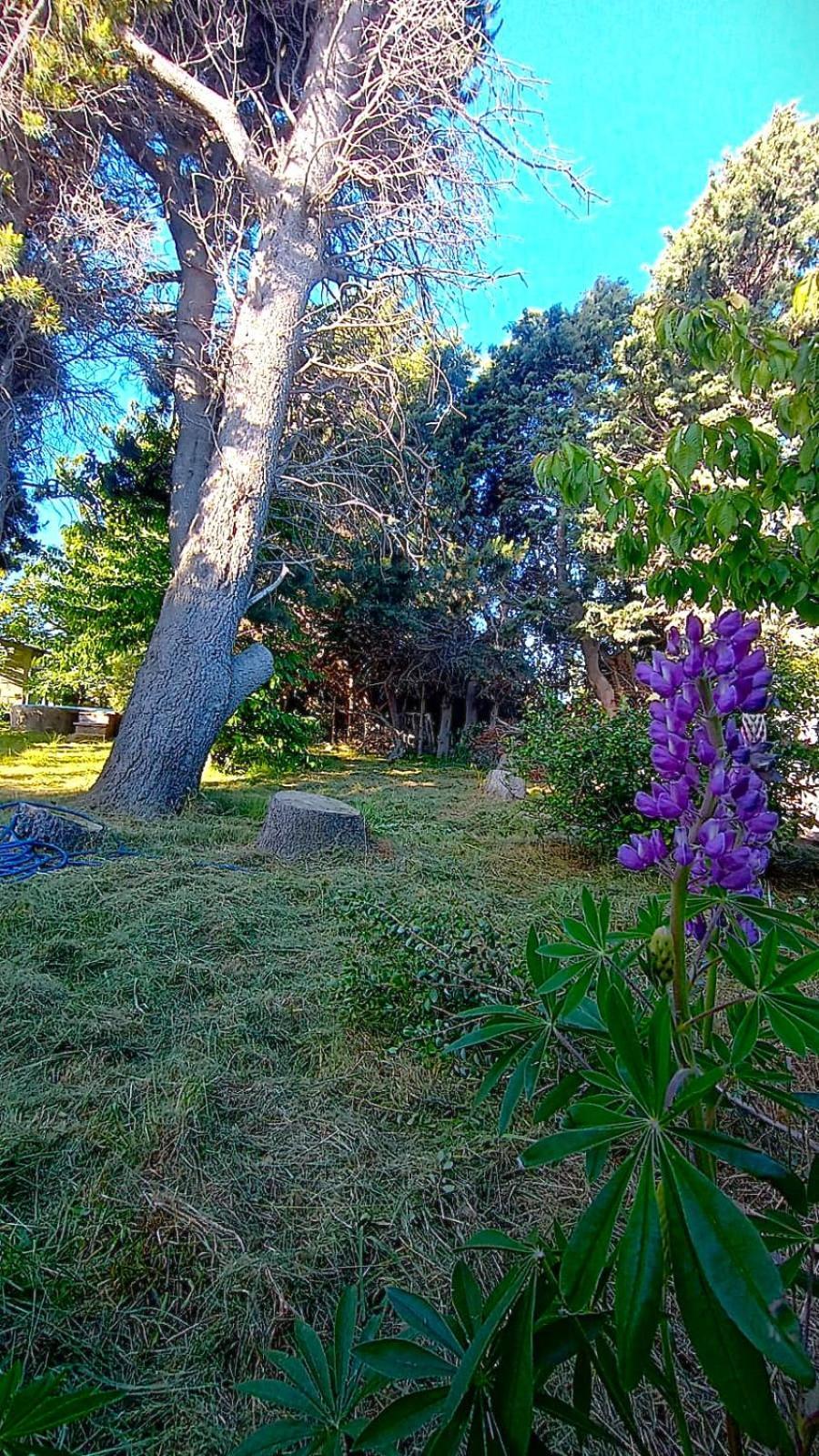 Casa Del Condor San Carlos de Bariloche Exteriör bild